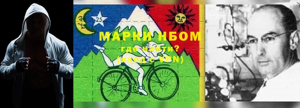ешки Медногорск