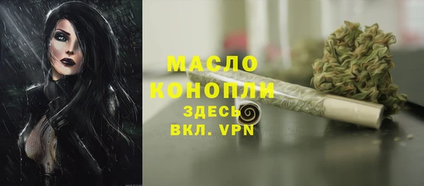 ешки Медногорск