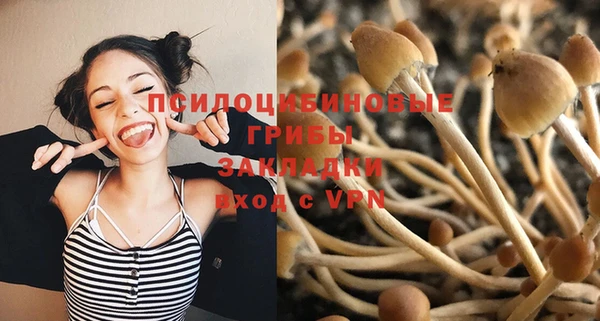 MDMA Медвежьегорск