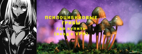 ешки Медногорск