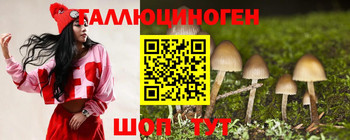 Псилоцибиновые грибы Psilocybine cubensis Нарткала
