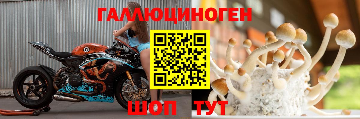 купить закладку  Псилоцибиновые грибы GOLDEN TEACHER  Вход с VPN  Нарткала 