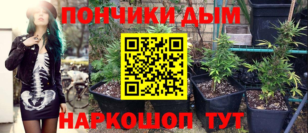 Бошки марихуана VHQ  Вход с VPN  Нарткала  Бошки Шишки Amnesia 